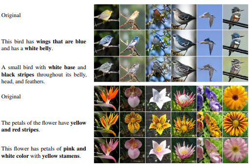 Generative Modelling | Modifying images with text-based input