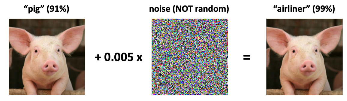 Adversarial Attacks on Image Classifiers | Pig or Airliner?